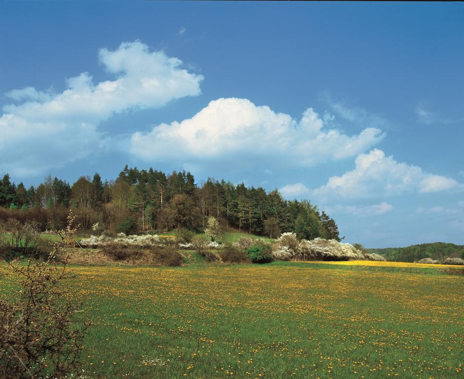 Gasthof Hotel Reif Königstein in der Oberpfalz Esterno foto